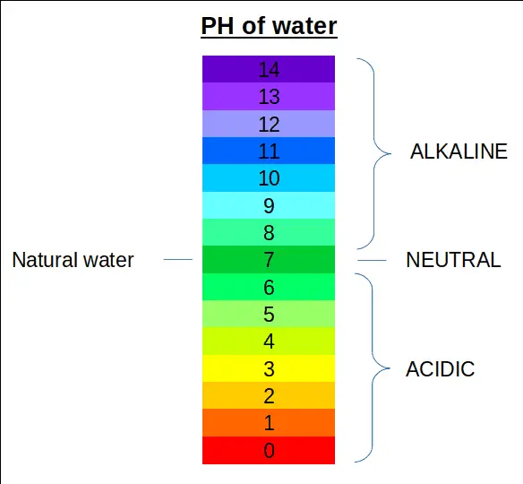 What You Need to Know About pH in Hydroponics – The Green Experiment ...