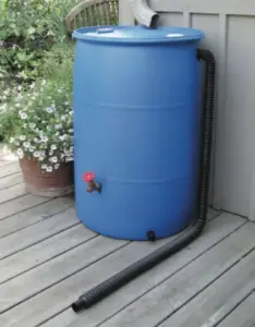 How To Set Up A Rain Barrel For Your Garden – The Green Experiment Company