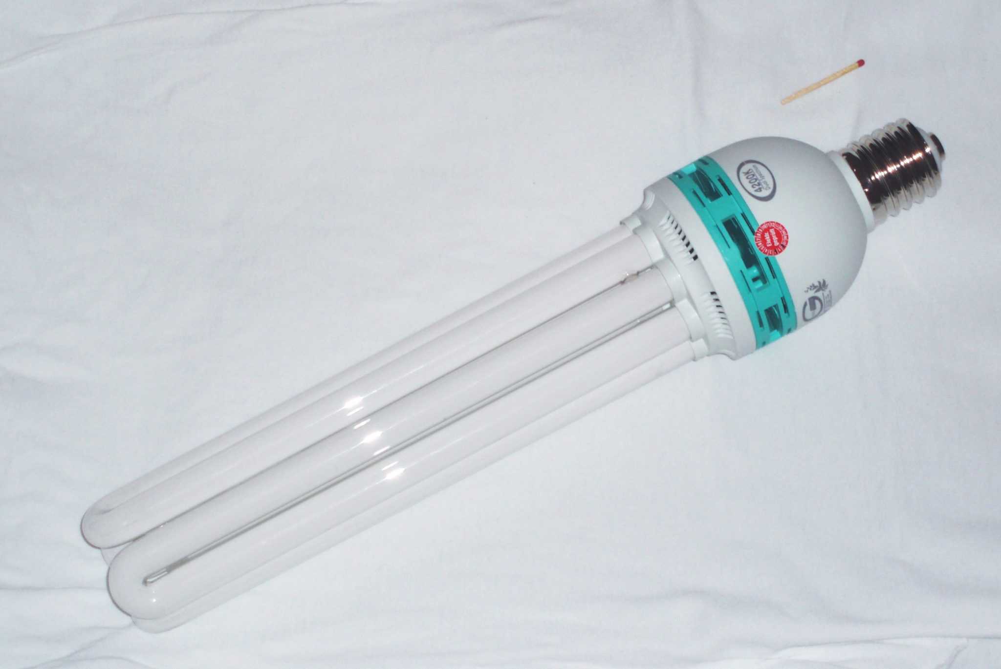 How To Rebloom Orchids The Green Experiment Company